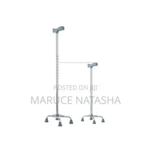 Quadripod Walking Stick