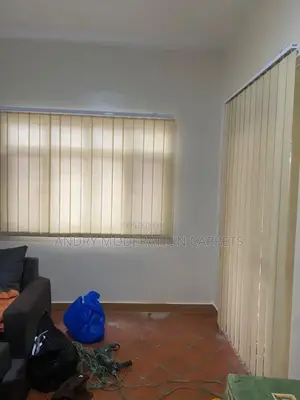 Window Blind Curtains