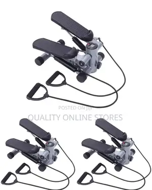 Mini Gym Stepper