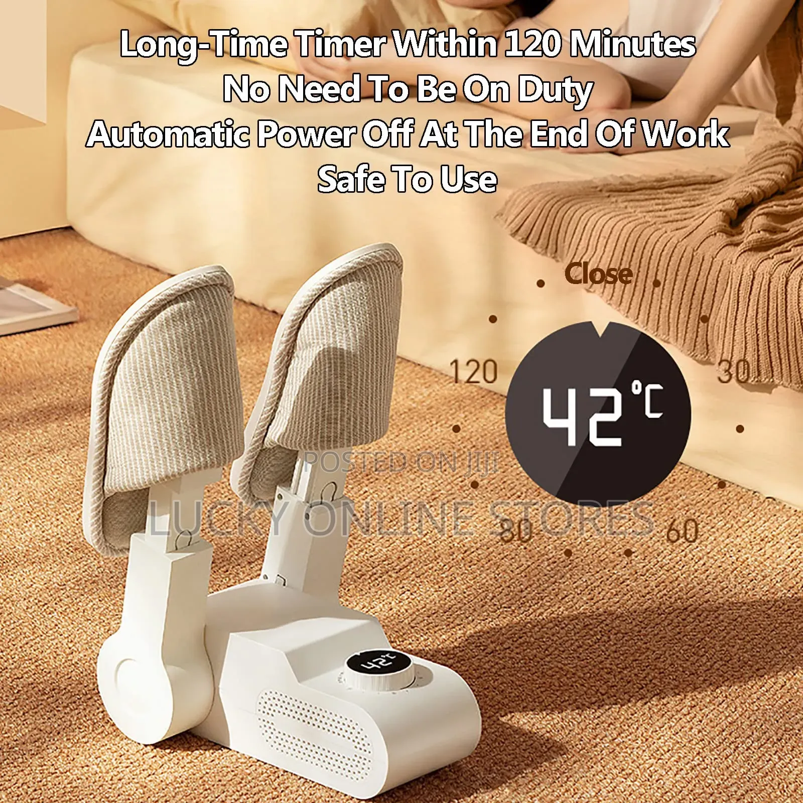 Household Shoe Dryer