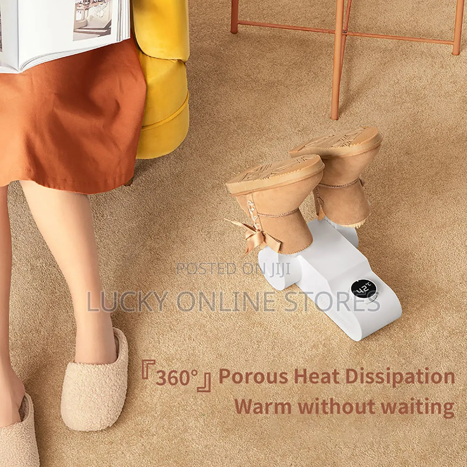 Household Shoe Dryer