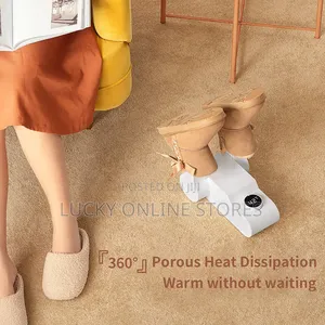 Household Shoe Dryer
