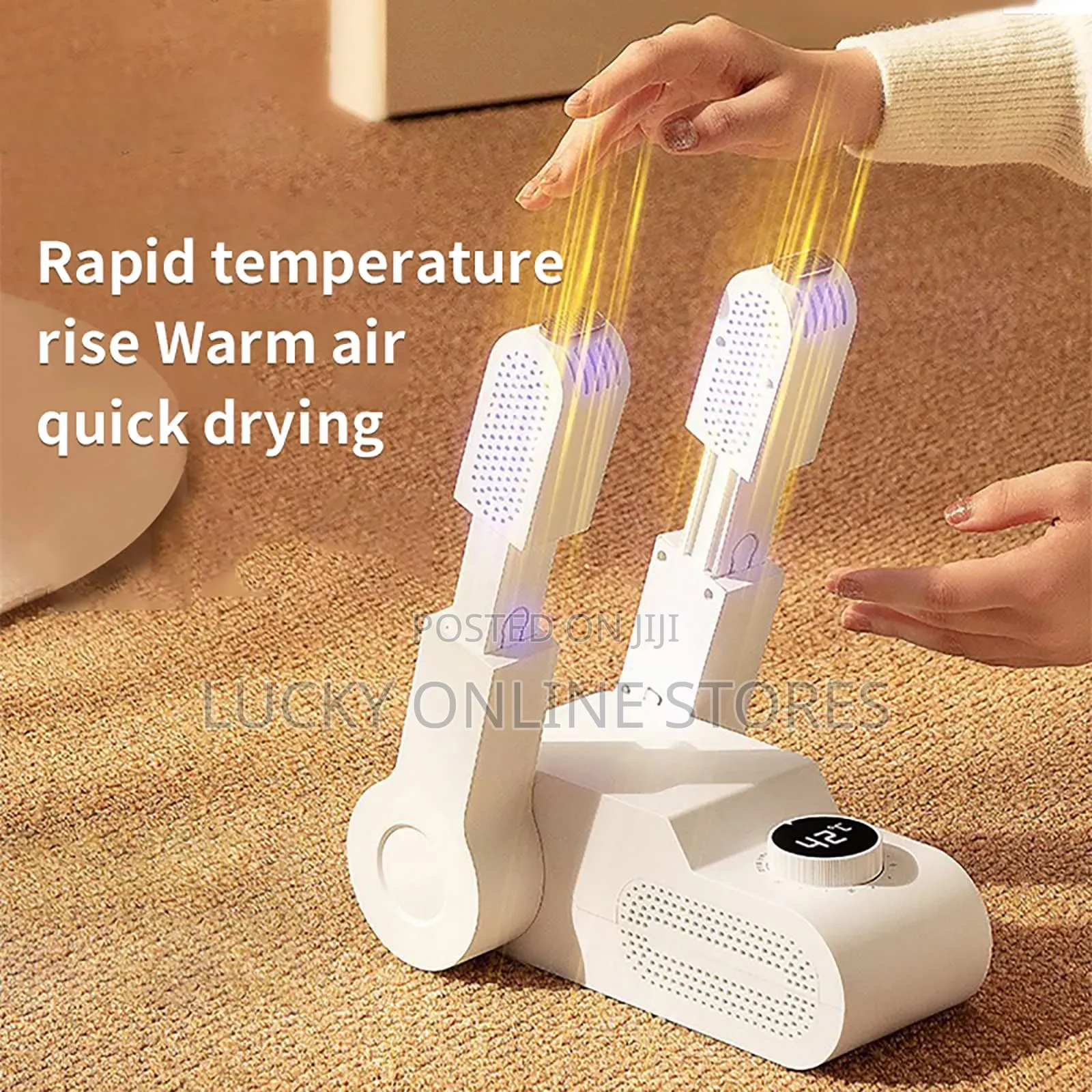 Household Shoe Dryer