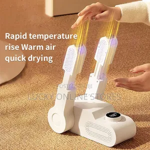 Household Shoe Dryer