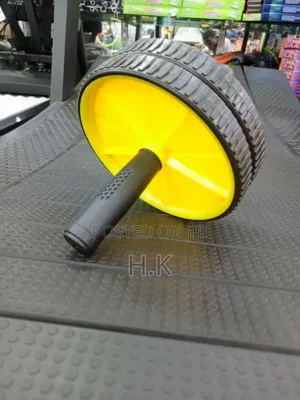 Gold's Gym Dual Wheel Exercise AB Wheel