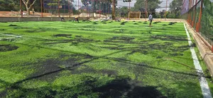 Grass Carpet Per Square Metre