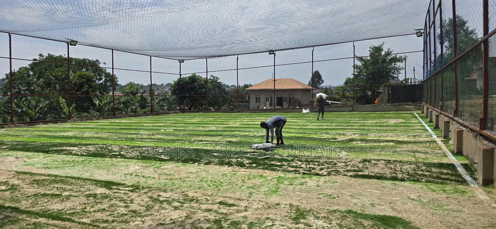 Grass Carpet Per Square Meter
