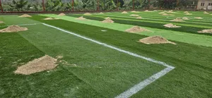 Grass Carpet Per SQMT