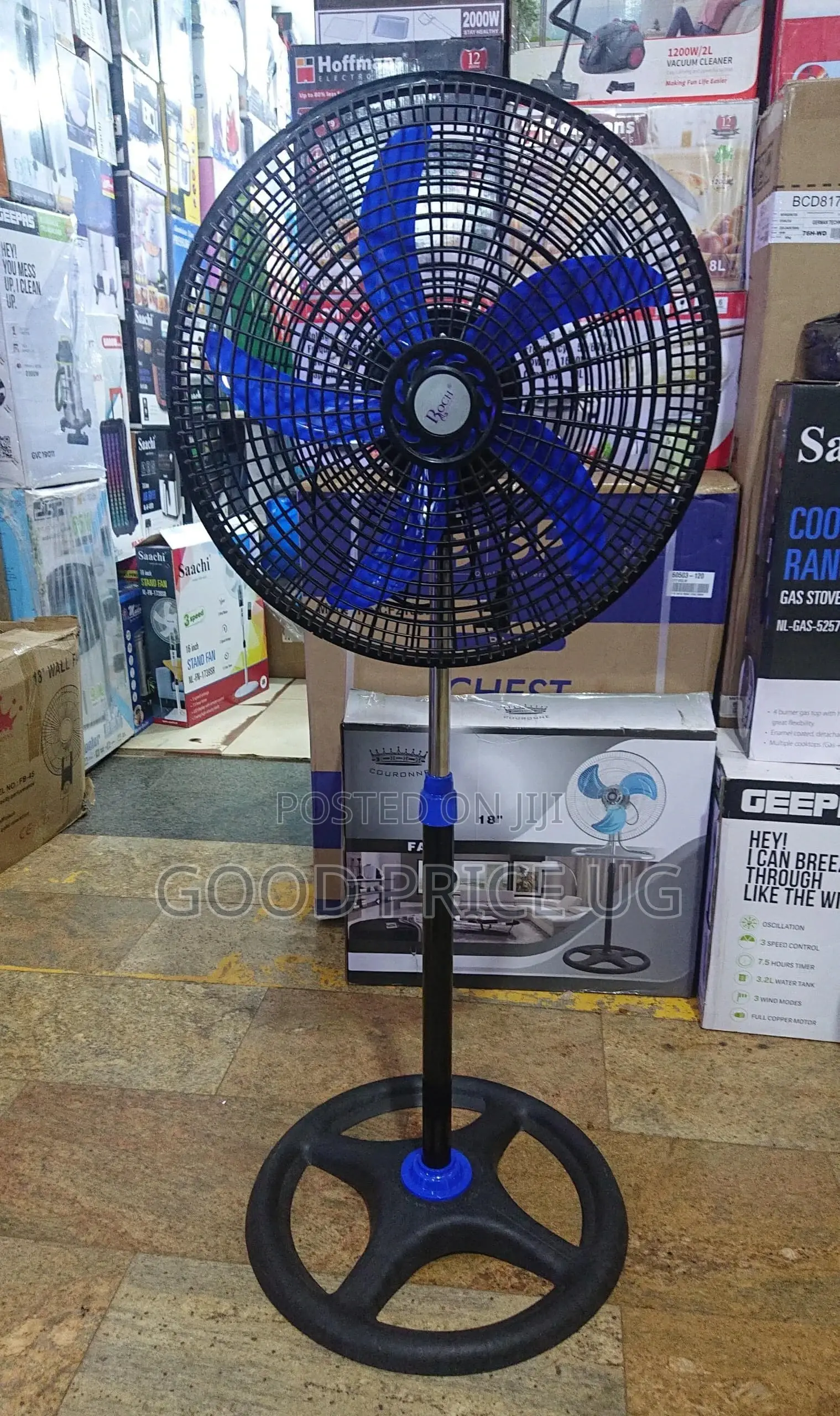 ROCH Stand Fan