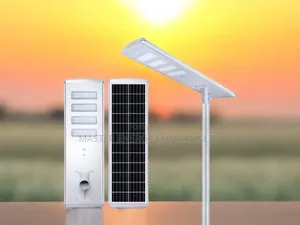 80w Solar Street Light NSGZG