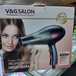 Hand Held Dryer/v G Salon Professional Hair Drier