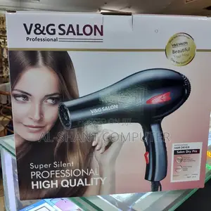 Hand Held Dryer/v G Salon Professional Hair Drier
