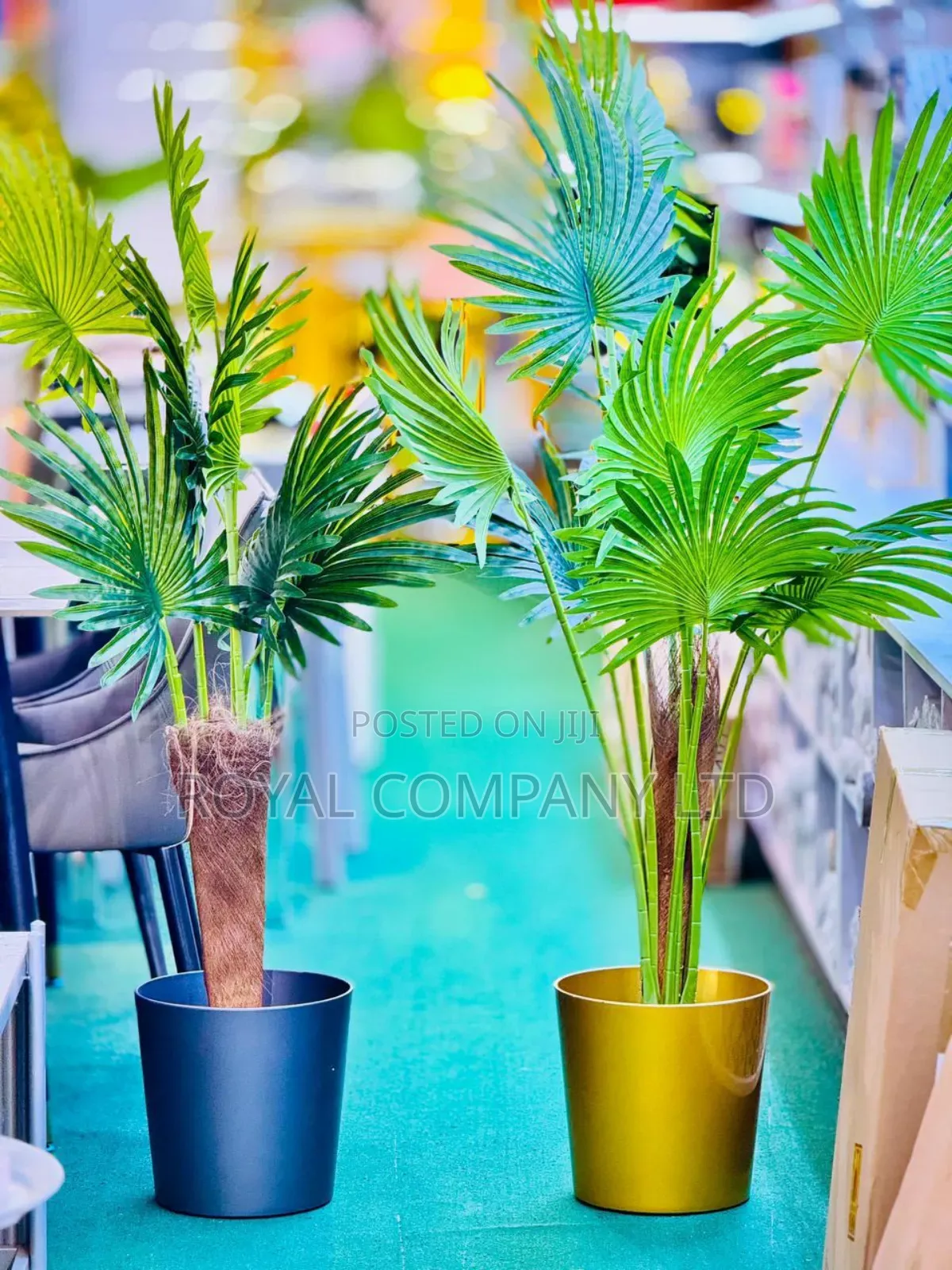 Artificial Plants / Fountain Palm Plant