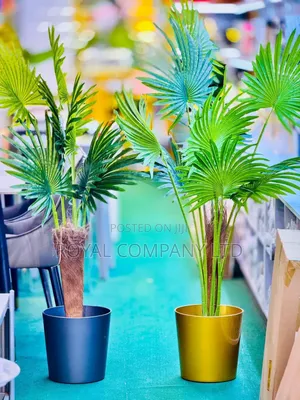 Artificial Plants / Fountain Palm Plant