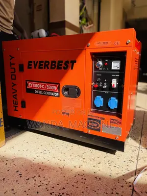 Diesel Generator 5500W Everbest