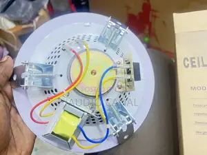 Ceiling Mount Speaker