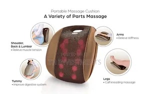 Back Portable Cushion Massager For Back Pain Relief 3D