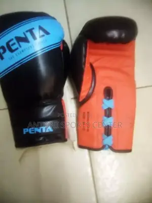Boxing Gloves Penta