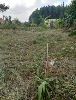 50*100 Plots for Sale in Bweyogerere Kiwanga.