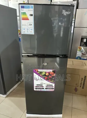 Roch 160 Liters Double Door Top Freezer Defrost Fridge –Inox