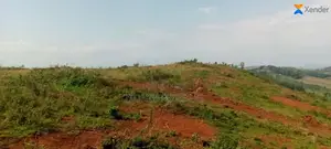 Kabasanda Estate for Sale
