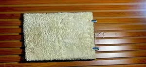 Creamy Colored Door Mat