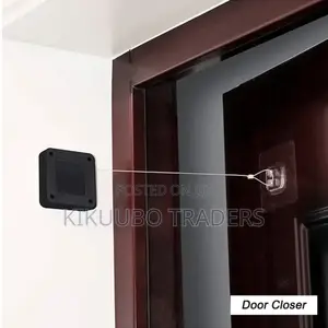 Anti Punching Mounted Door Closer