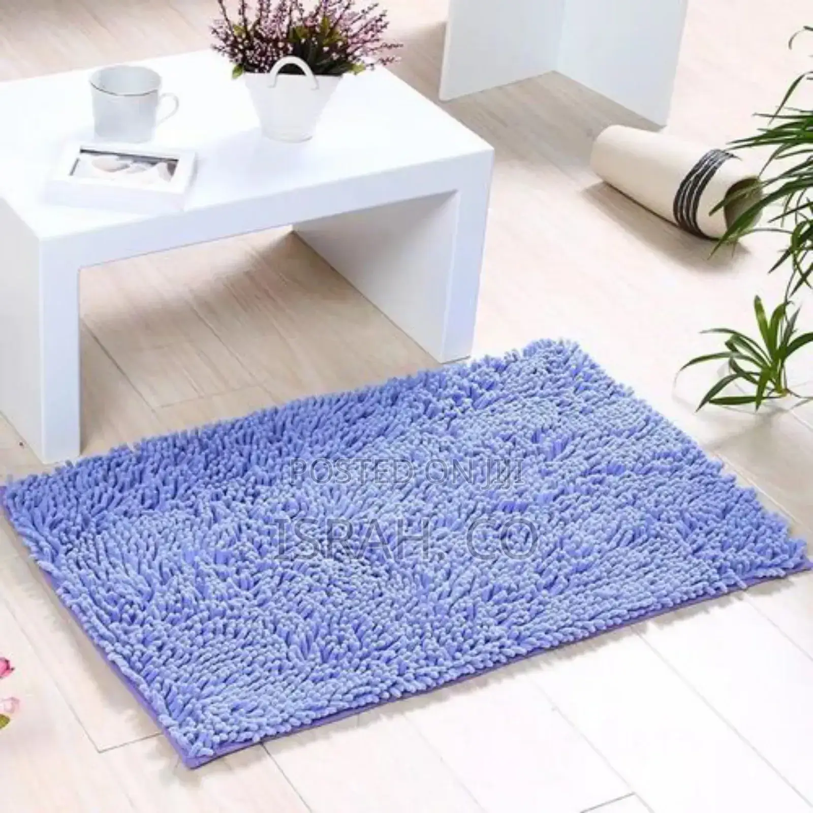Soft Door Mats and Rugs Purple