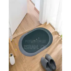 Absorbent Bathroom Door Mat-Grey Blue Green Colour May Vary