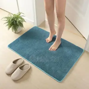 Blue Rug for Both Bathrooms and Toilet
