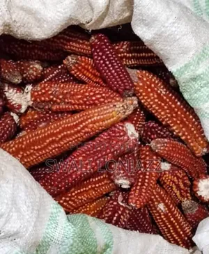 Popcorns Farmers
