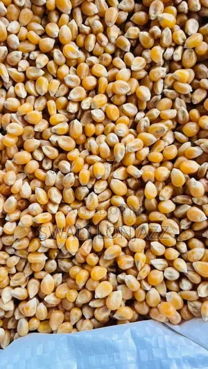 Popcorns Farmers