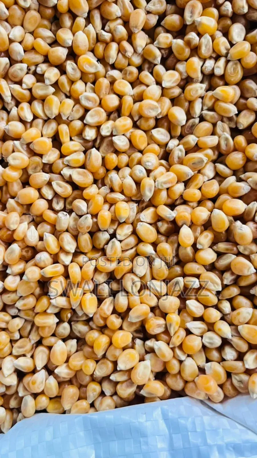 Popcorns Farmers