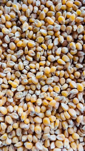 Popcorns Farmers