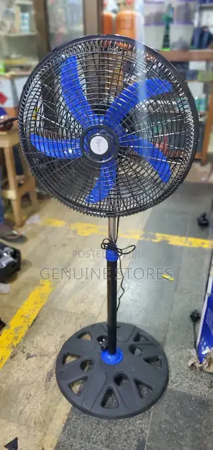 Roch Stand Fan Black