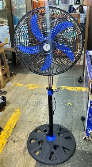 Roch Stand Fan Black