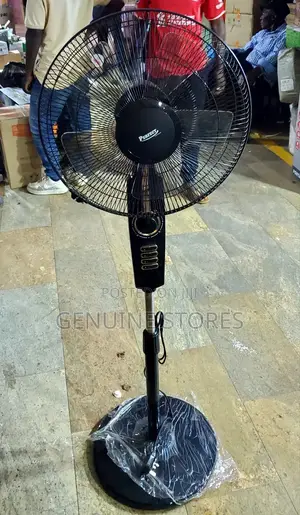 Perfect Black Stand Fan