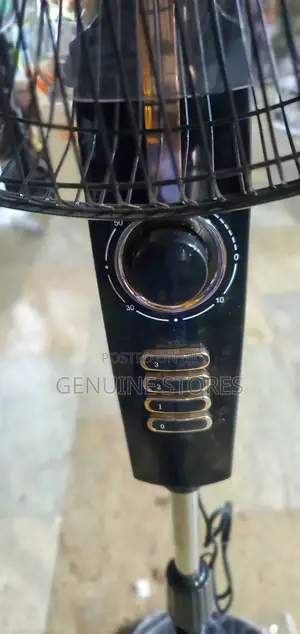 Perfect Black Stand Fan