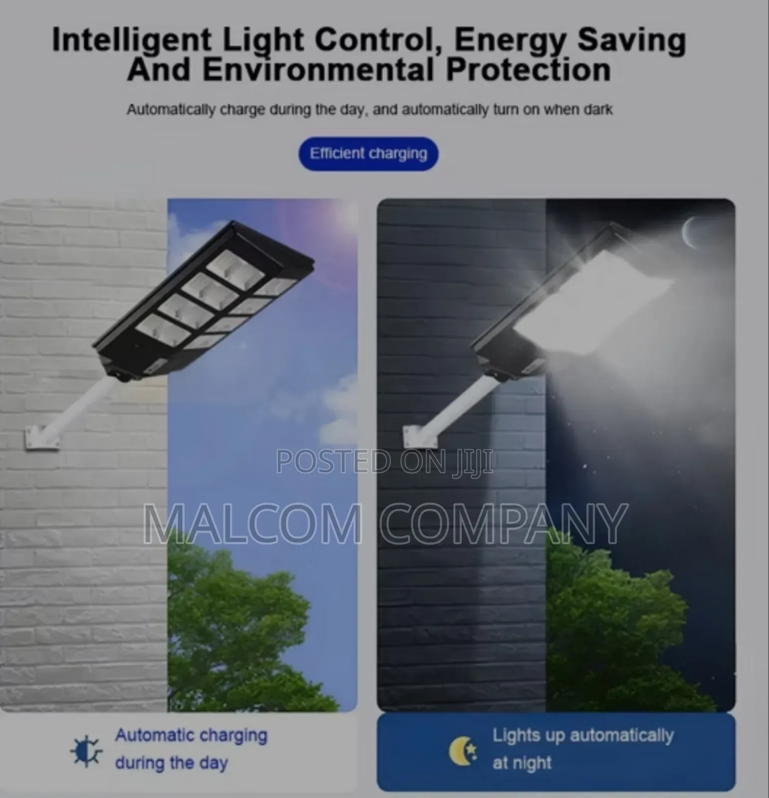 Street Solar Lights ( Day Charging, Night Lighting)