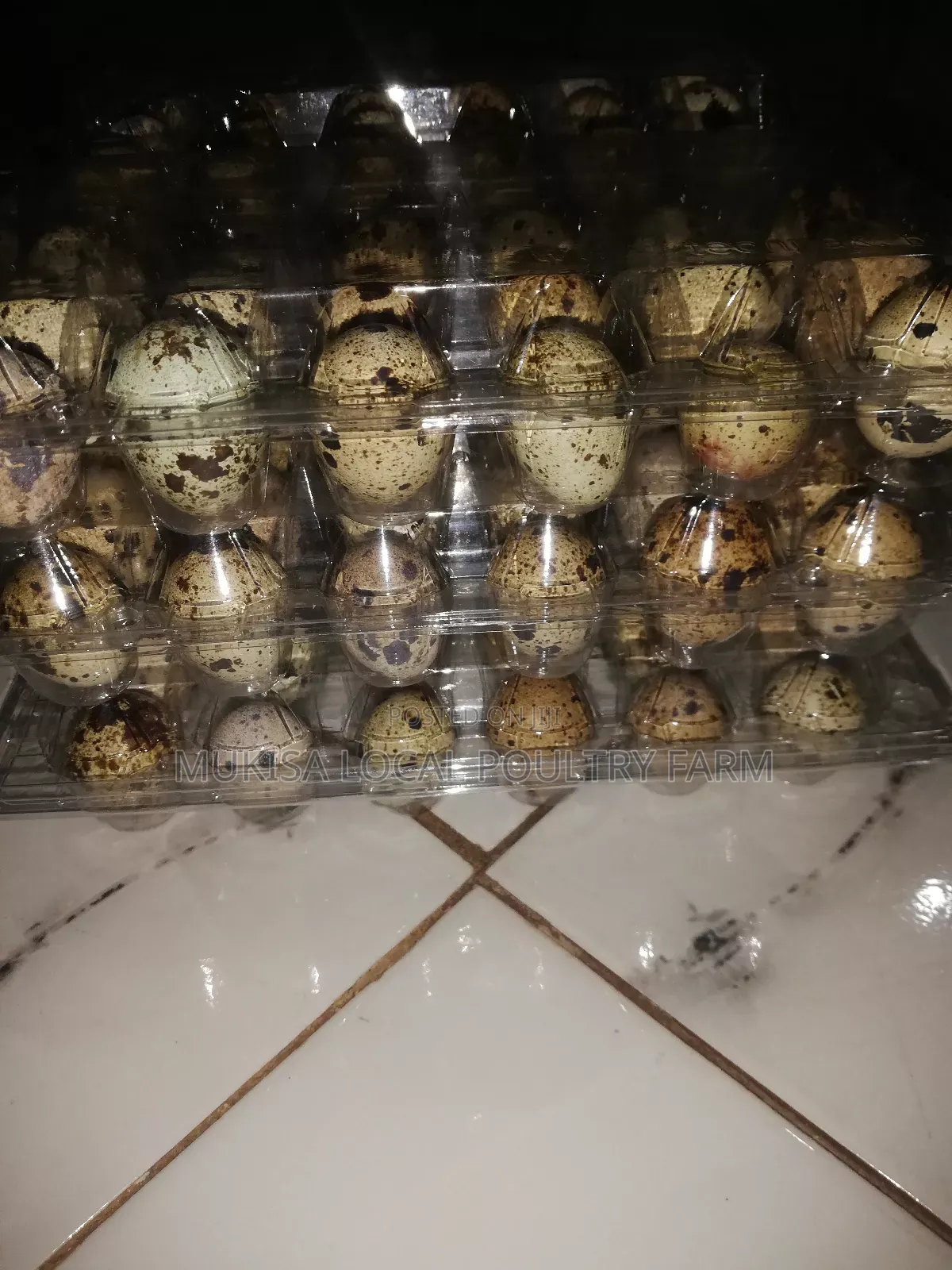 Quails and Quail Eggs