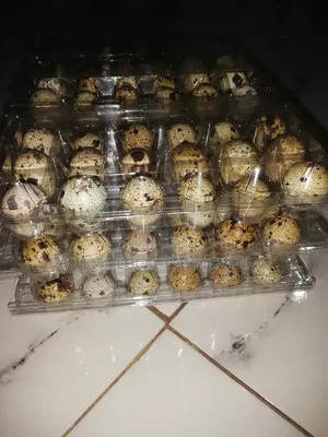 Quails and Quail Eggs