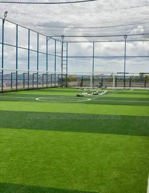 Executive Infill Grass Carpet
