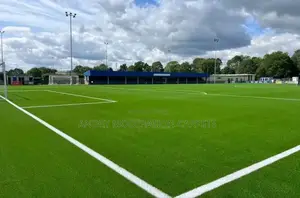 Grass Carpet Per Sq Meter