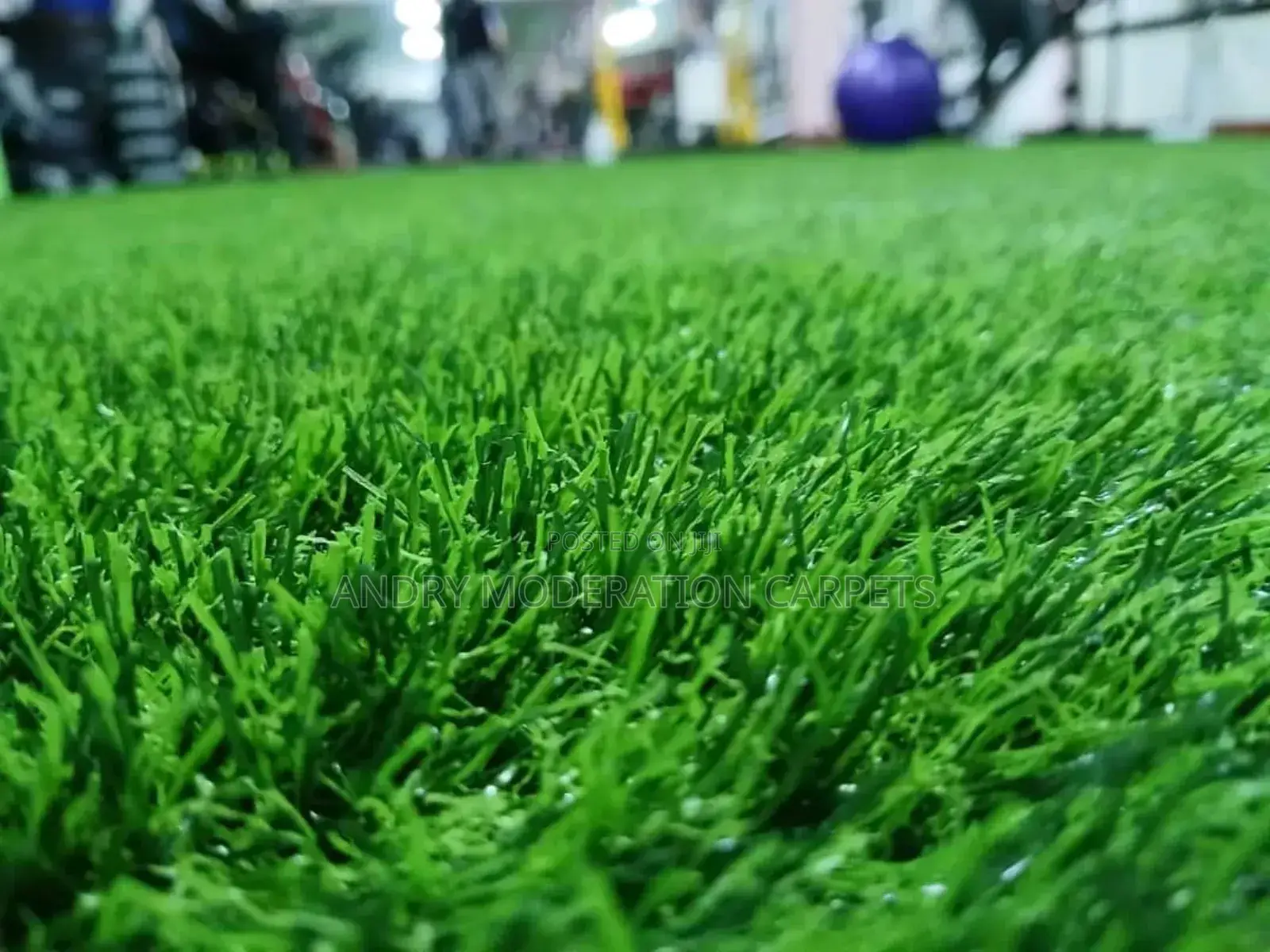 Grass Carpet Per Sq Meter