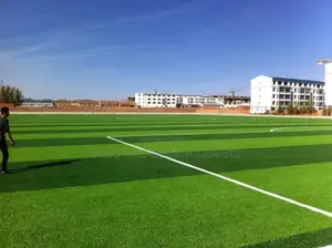 Artificial Executive Grass Carpet