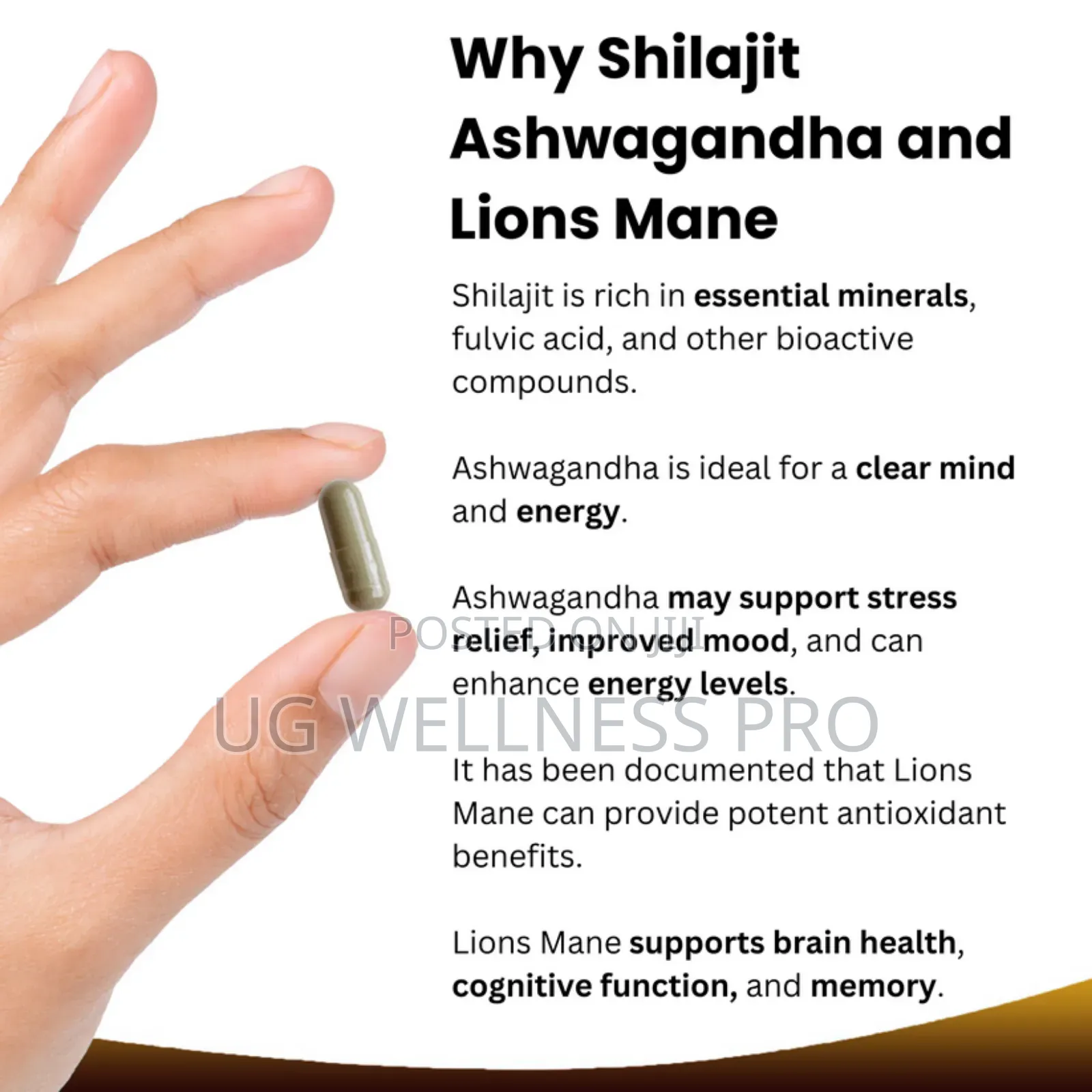 Shilajit Complex With Ashwagandha and Lion's Mane 2 Months