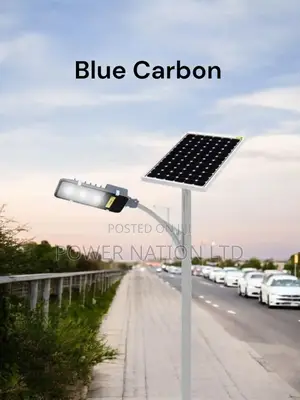 500w Blue Carbon Grain Light