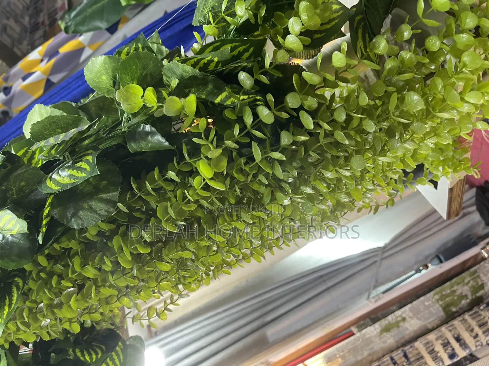 Climbing and Flowing Plants