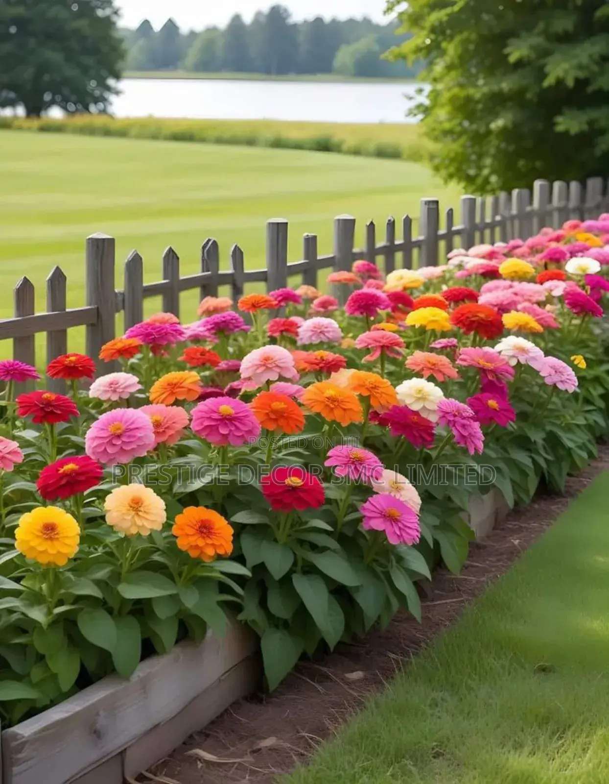 Land Scape Designing