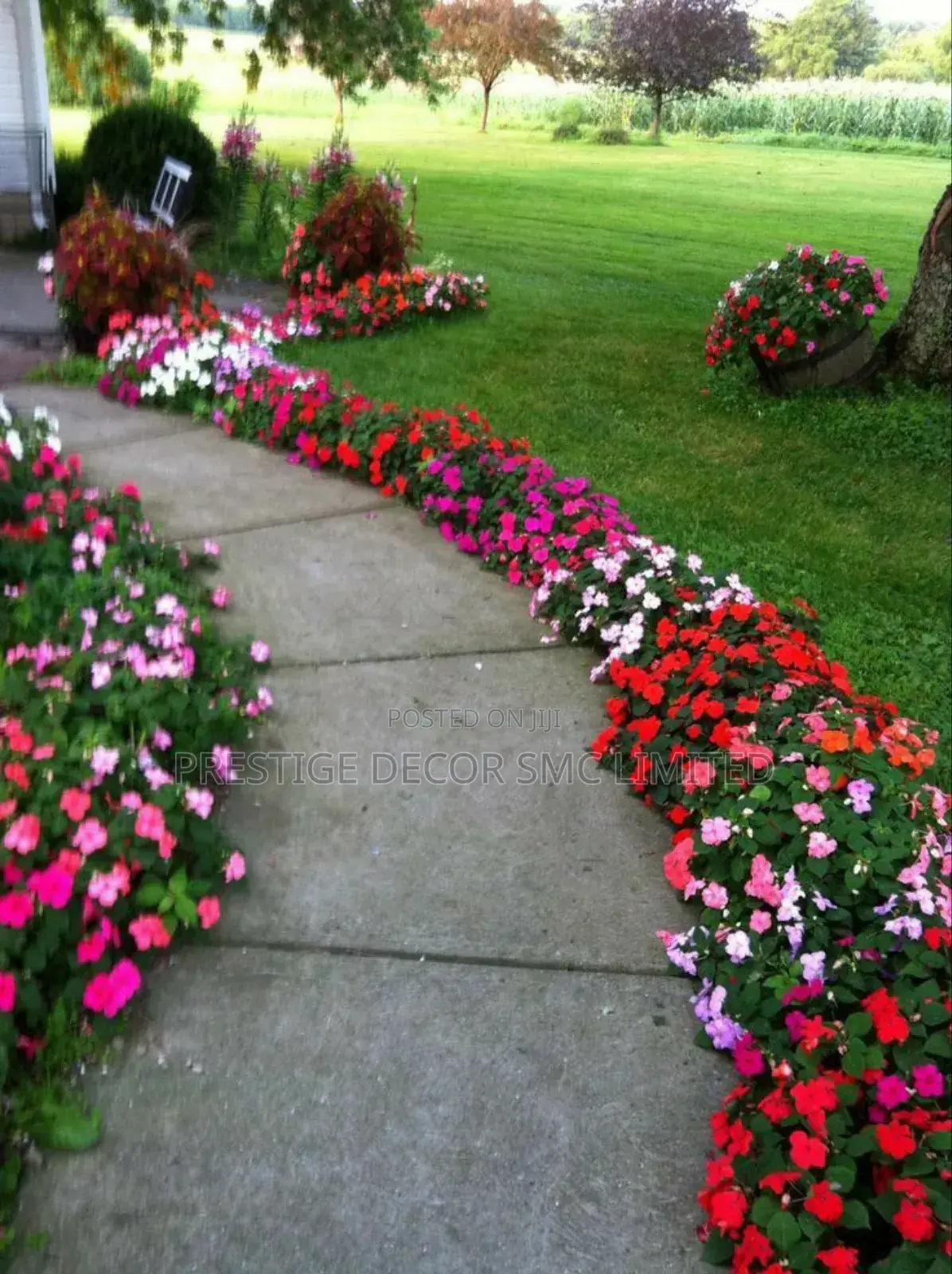 Land Scape Designing